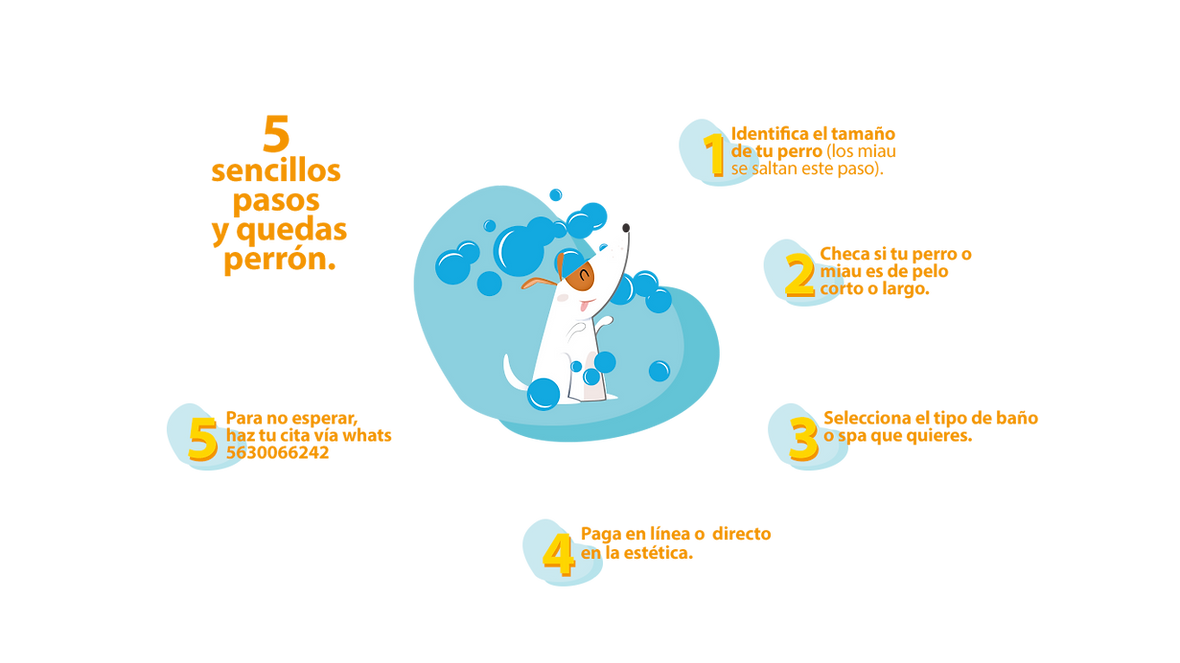 Inicio | Baño Perrón